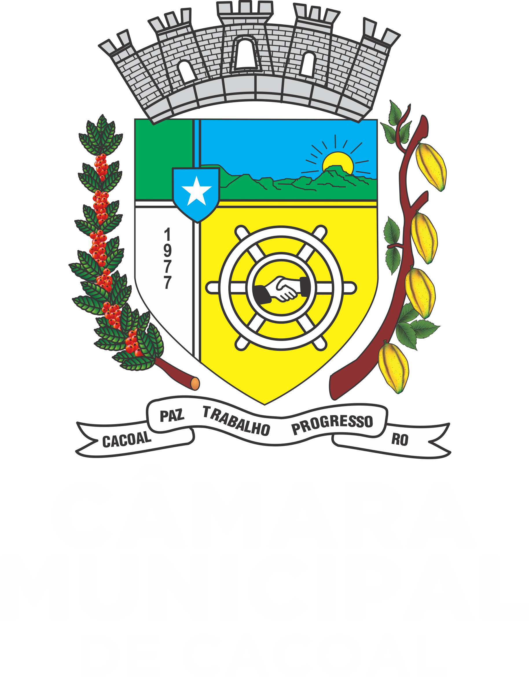BRASAO MONOCROMATIVO bco.png