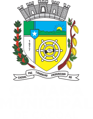 BRASAO MONOCROMATIVO bco.png