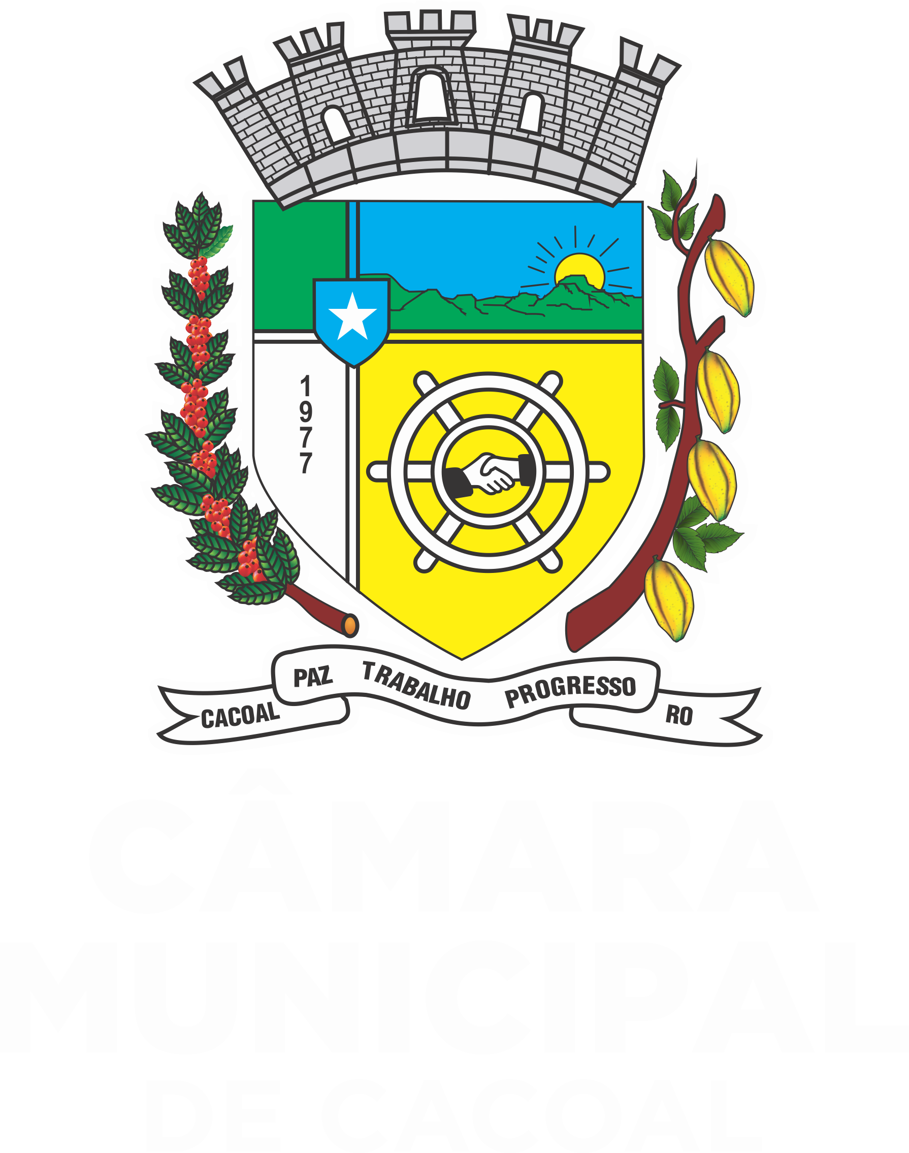 BRASAO oficial-a.png