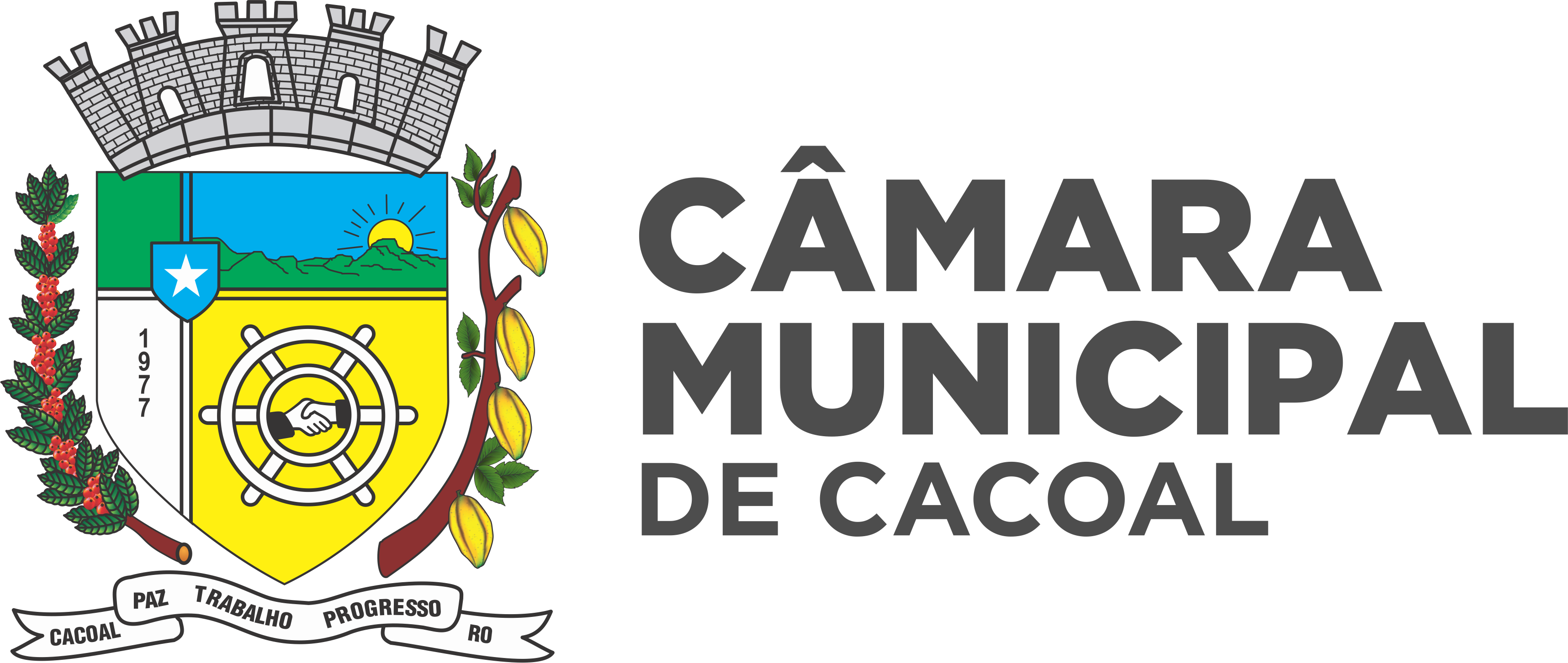BRASAO oficial-b.png