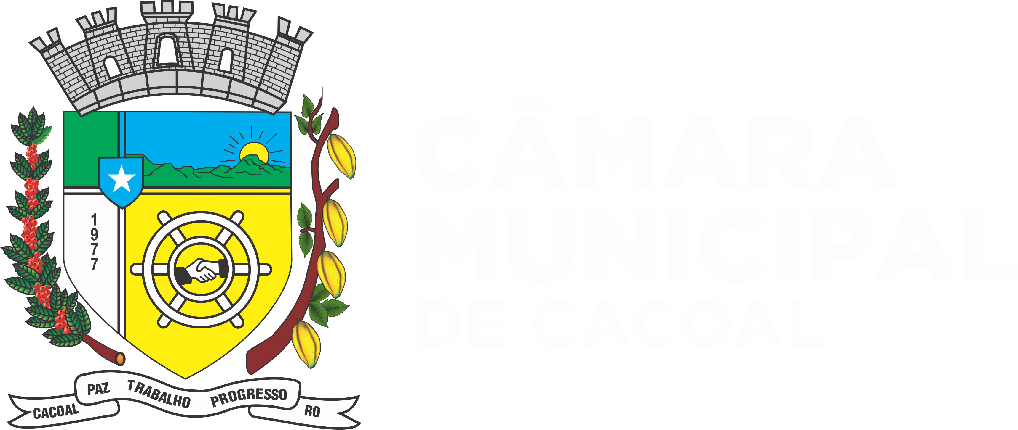 BRASAO oficial.png