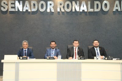 4ª sessão Ordinária