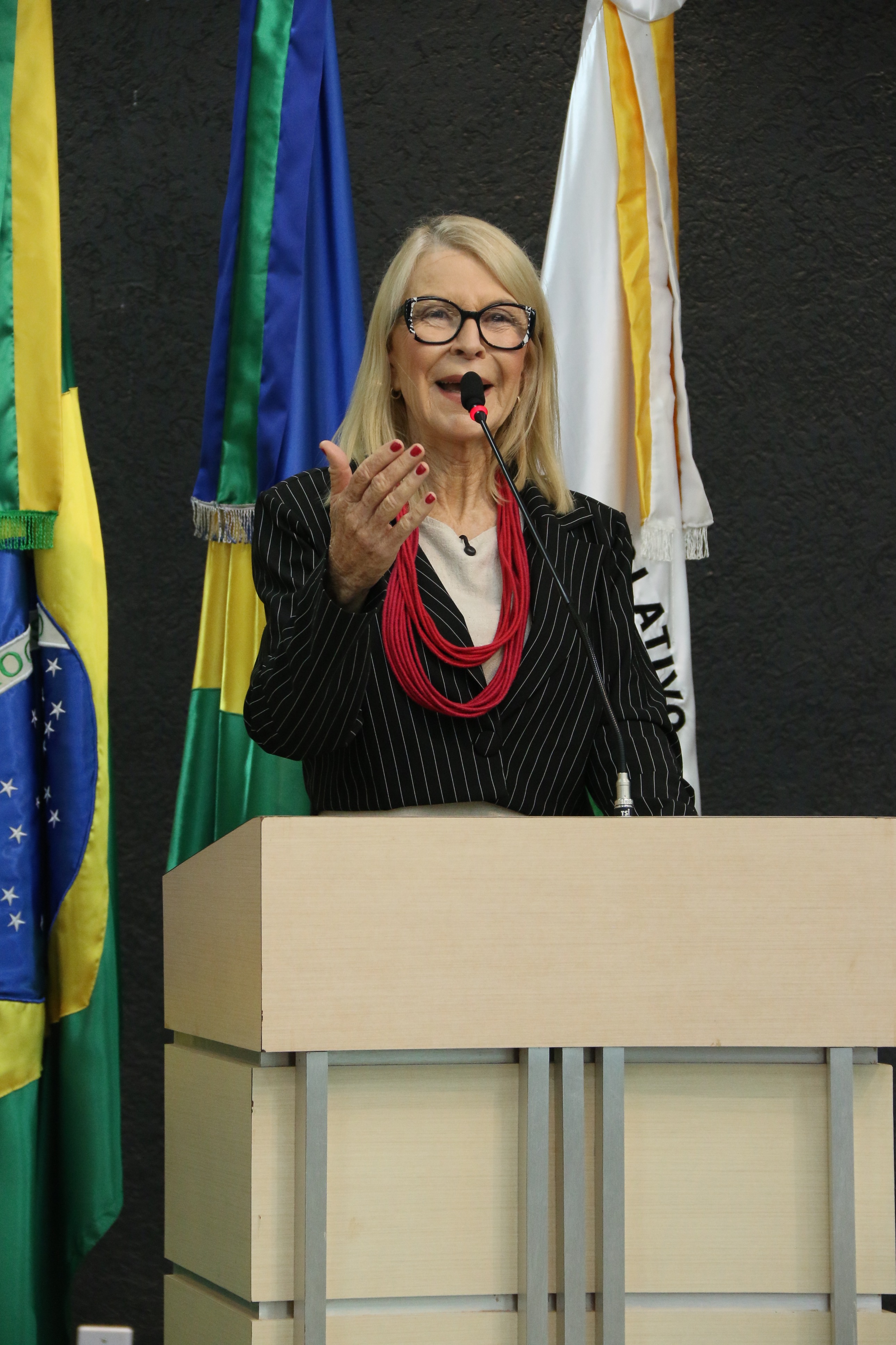 VEREADORA AMALIA  (10).JPG