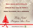 Feliz Natal e Próspero Ano Novo