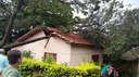 Na última Sessão Legislativa, realizada no dia 29/06/2020, foi aprovado o Projeto de Lei de autoria do vereador Rogerinho Chagas que “DISCIPLINA A SUPRESSÃO, A PODA, TRANSPLANTE E O PLANTIO DE ÁRVORES NO MUNICÍPIO DE CACOAL 