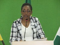 VEREADORES SUGEREM MUTIRÃO PARA A PREVENÇÃO À DENGUE EM CACOAL