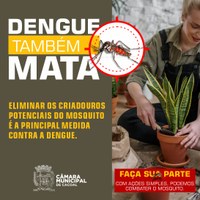 A DENGUE ESTÁ AVANÇANDO.   É HORA DE FAZER SUA PARTE